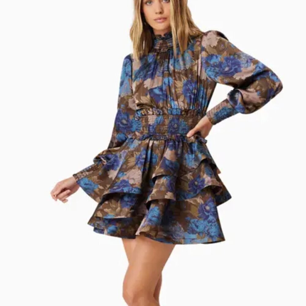 Erin Floral Long Sleeve Ruffle Minidress